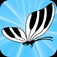 Pianofly Pro Synth